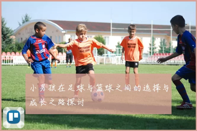 小男孩在足球与篮球之间的选择与成长之路探讨